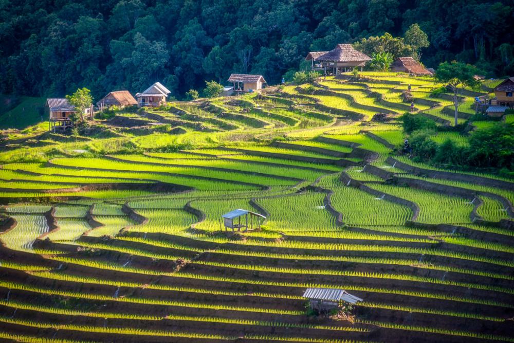 Pourquoi choisir la Thaïlande pour son voyage de noce ?