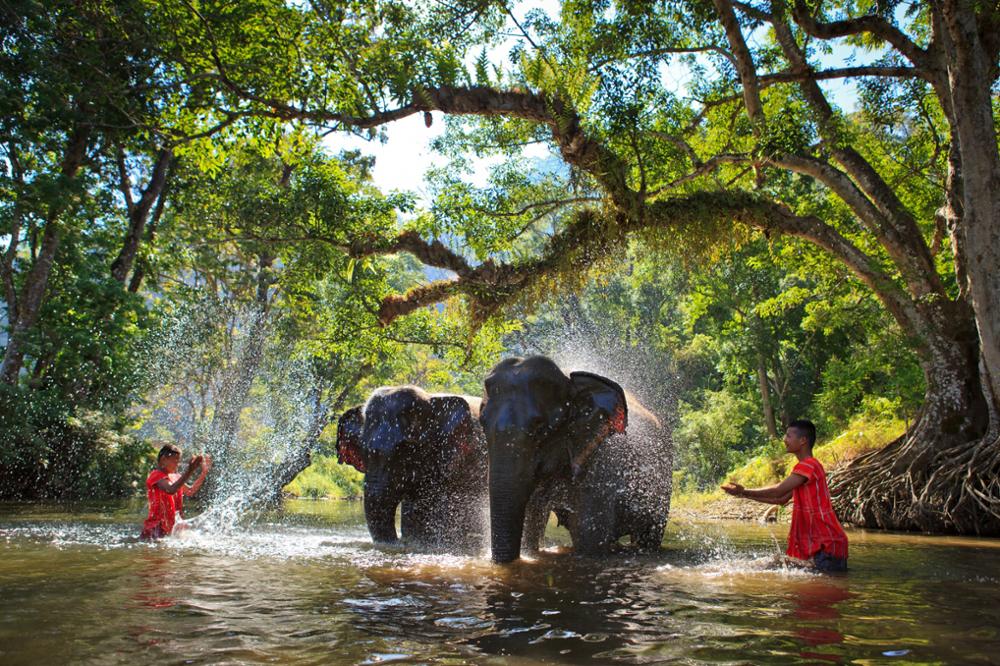 Kanchanaburi ou Chiang Mai ? Quelle ville choisir ?