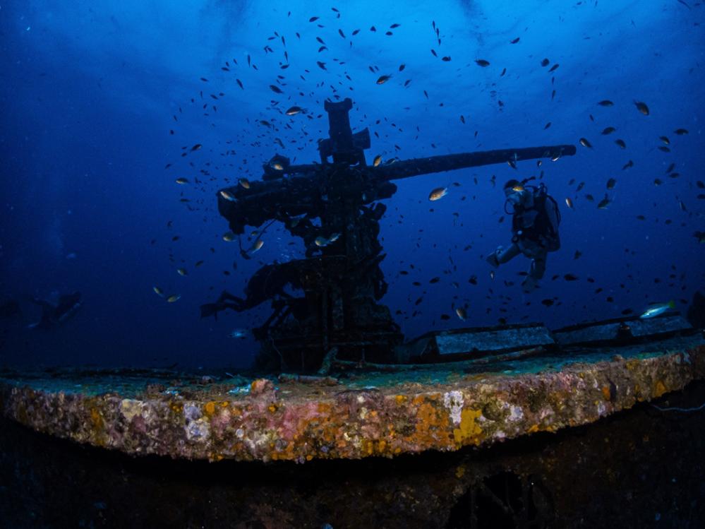 Quels sont les meilleurs sites de plongée à Koh Tao ?